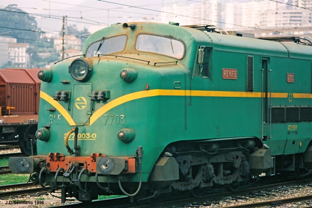 7703.jpg