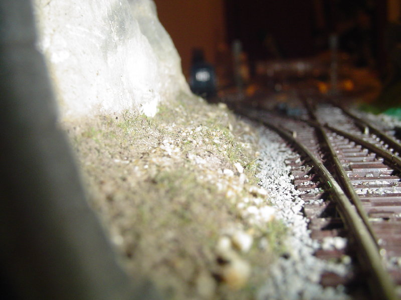 DSC01629.JPG