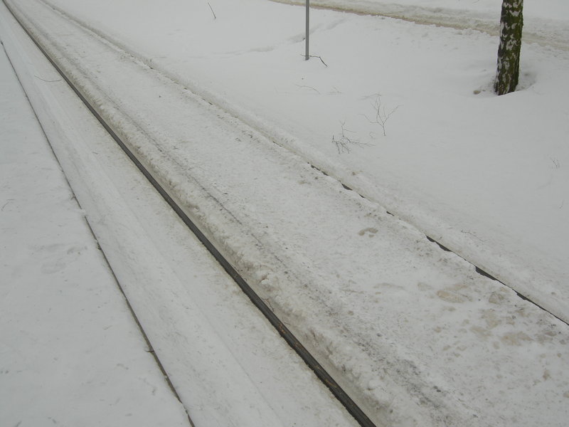 DSCN6136.JPG