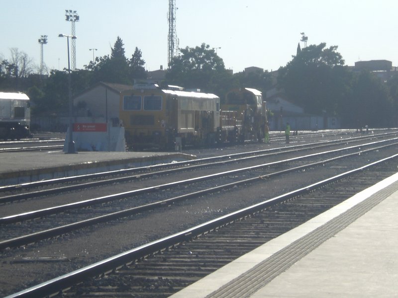 CIMG7247.JPG