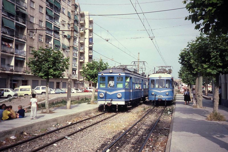 539.jpg