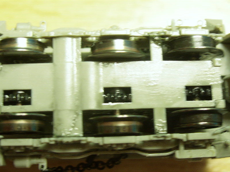 SL273230.JPG