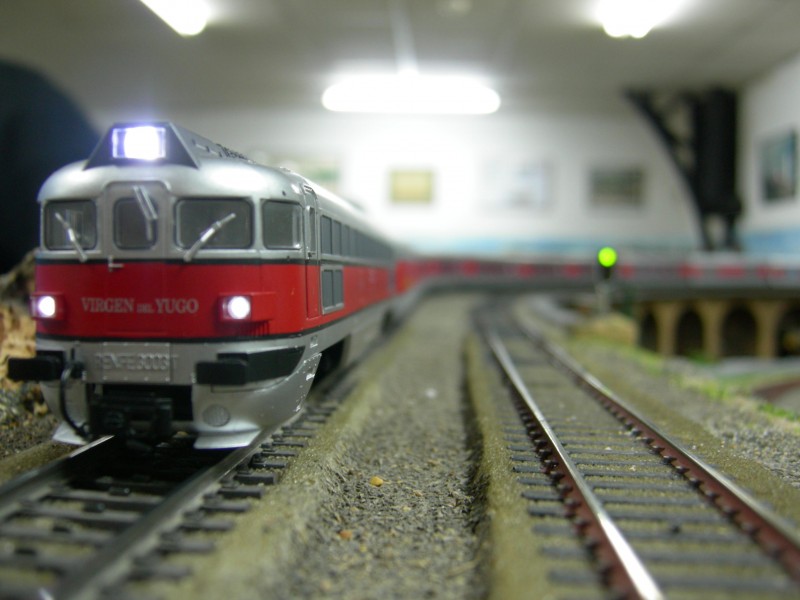 DSCN0470.JPG