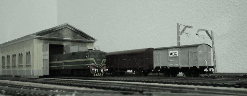 CIMG7687.JPG