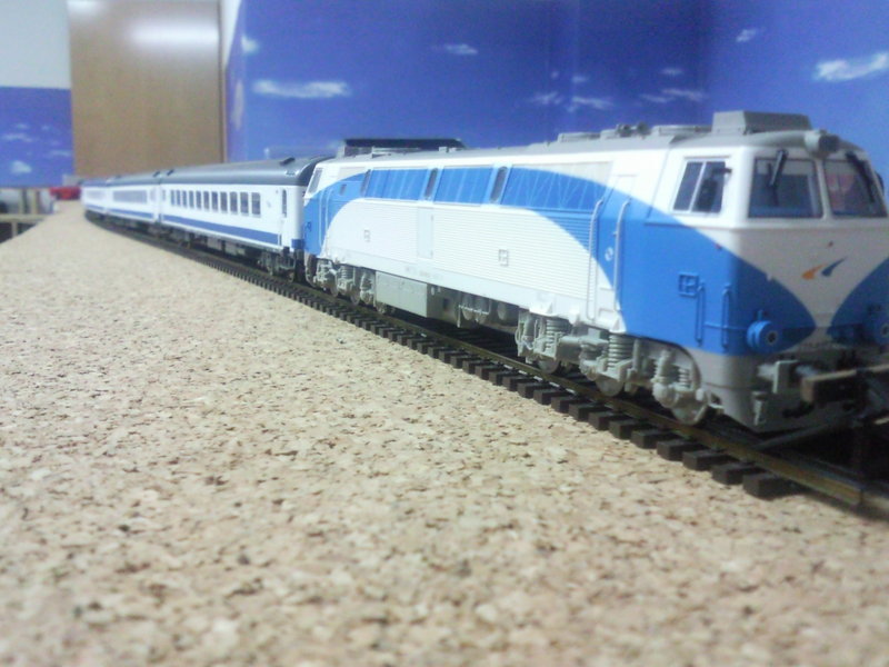 SNC00304.jpg