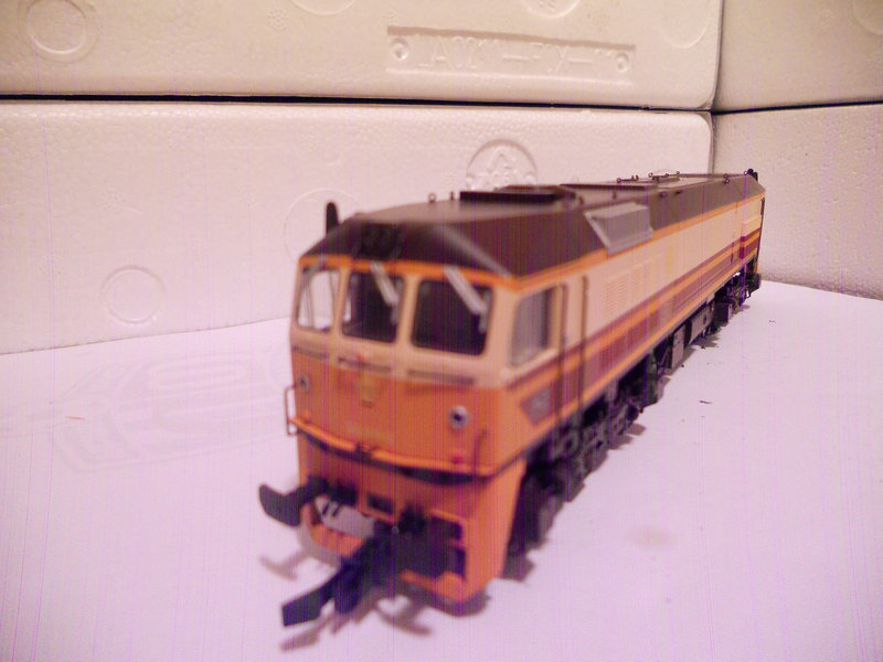 DSCN0225.JPG