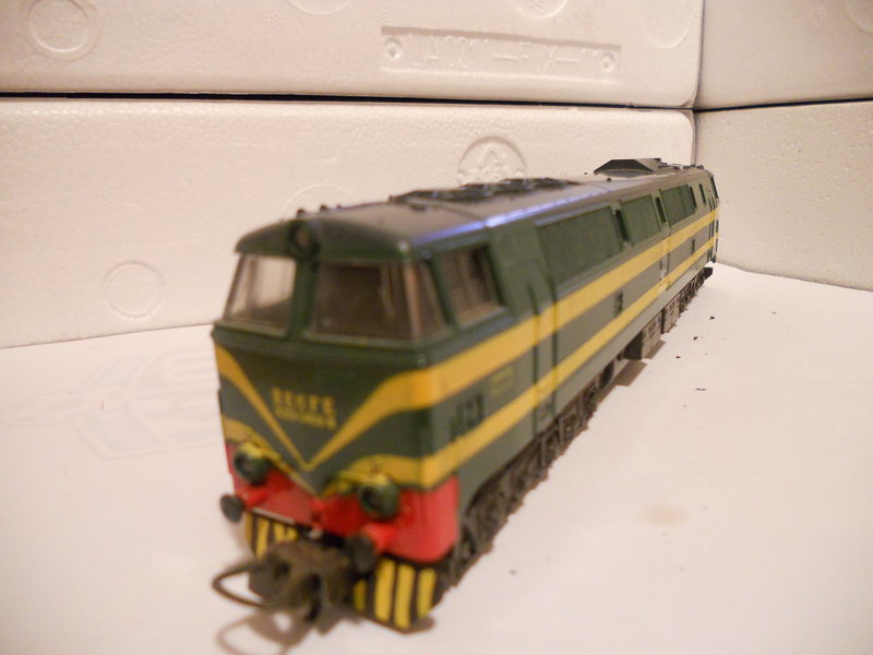 DSCN0234.JPG