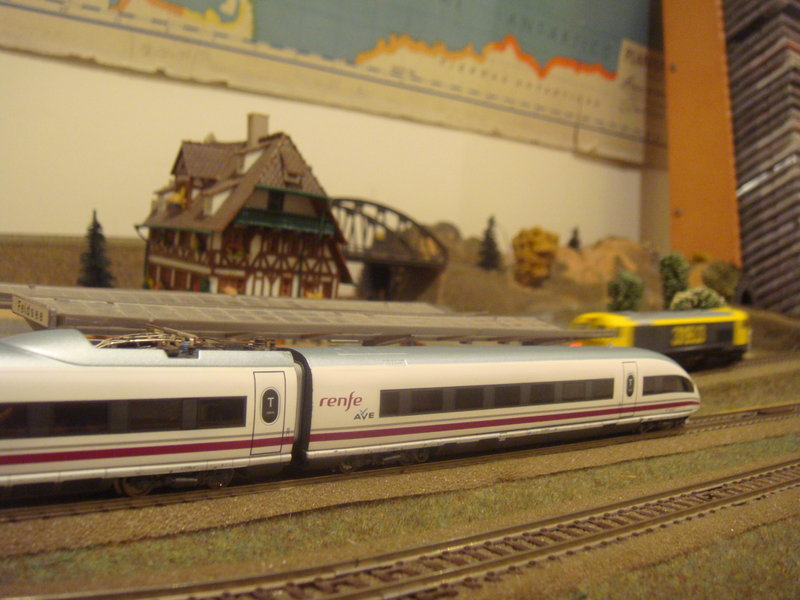 DSC09775.JPG
