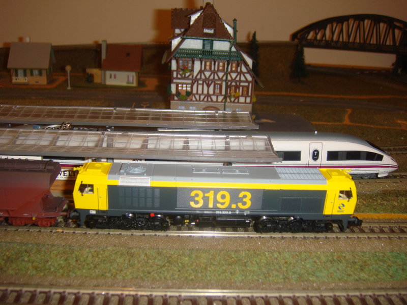 DSC09790.JPG