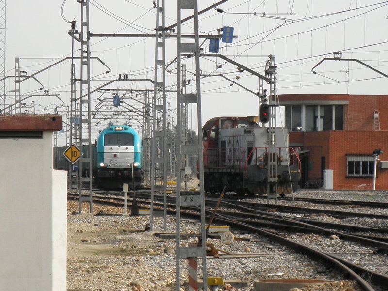 P1180437.JPG