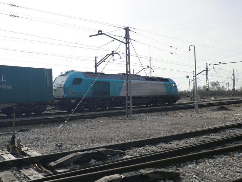 P1180441.JPG