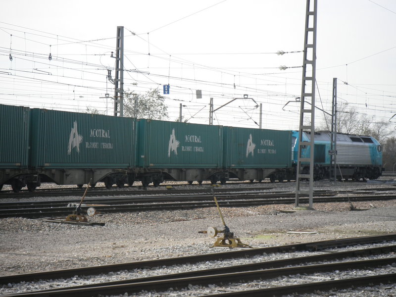 P1180444.JPG