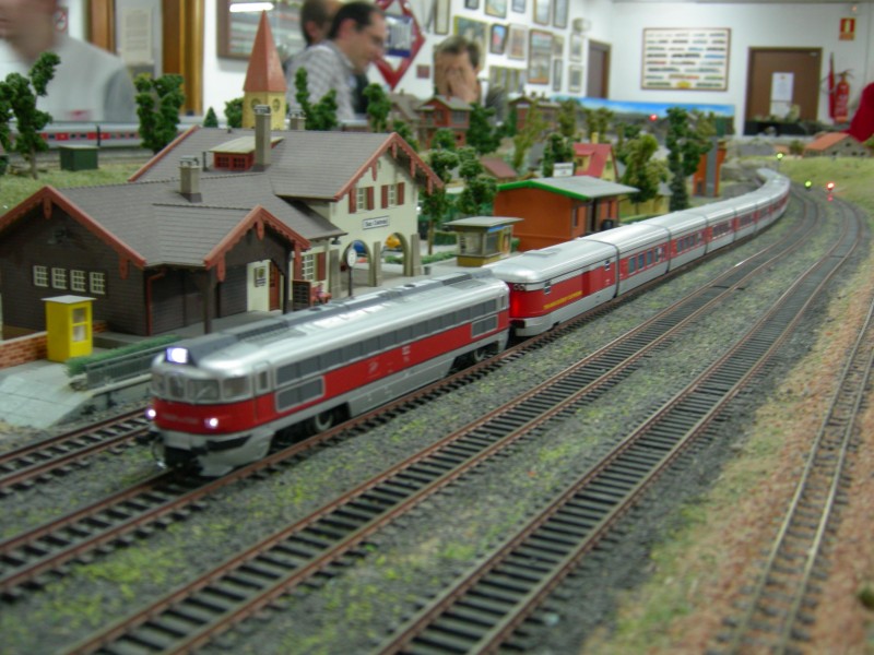 DSCN0478.JPG