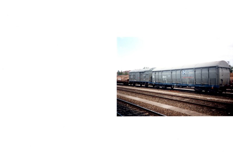 img003.jpg