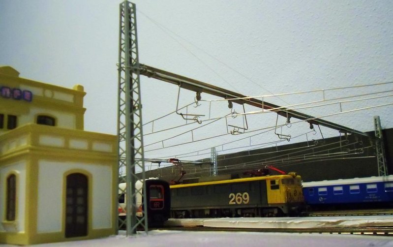 CIMG7726.JPG