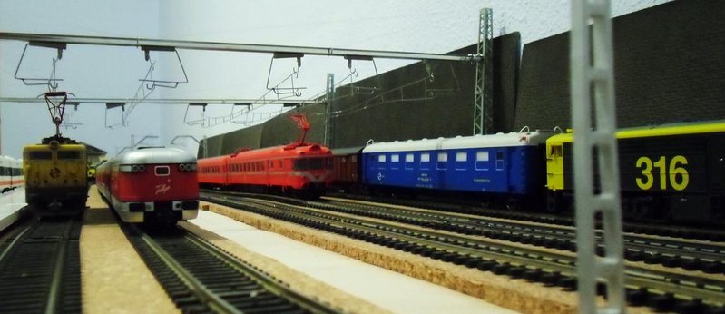 CIMG7719.JPG