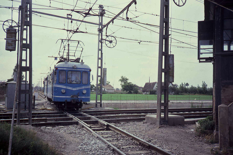 3067.jpg