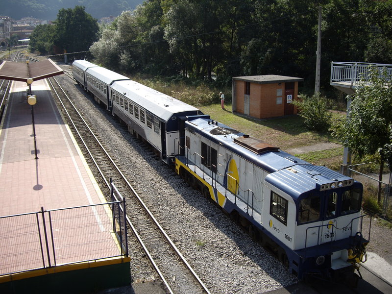 IMGP1110.JPG