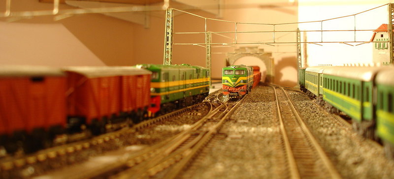 DSC02496.jpg