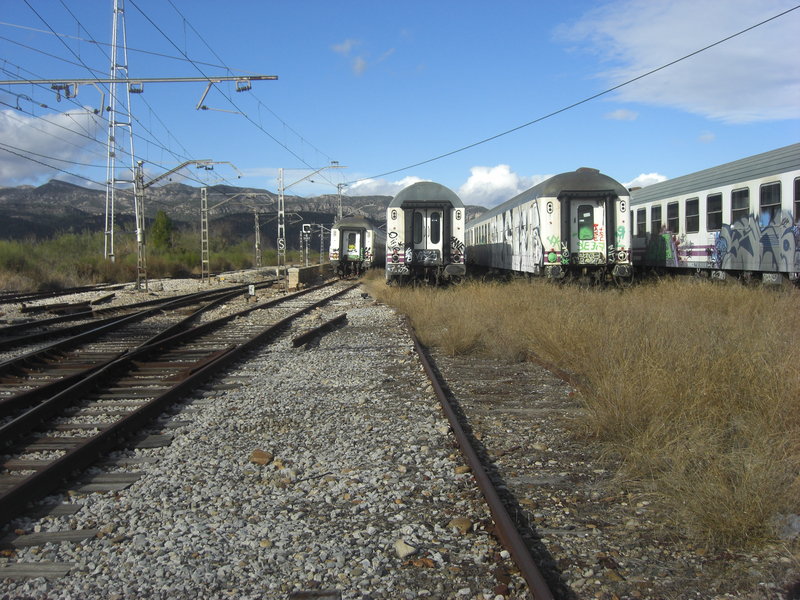 CIMG5422.JPG