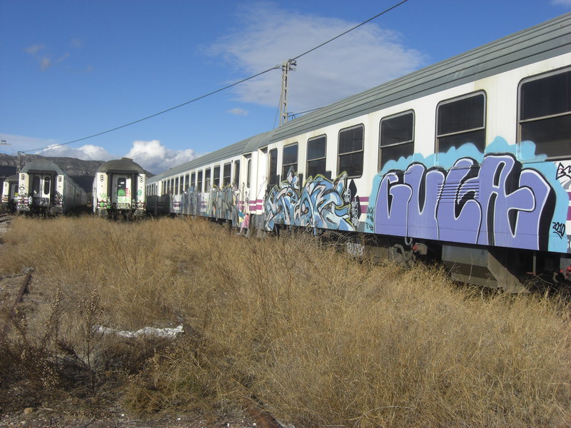 CIMG5421.JPG
