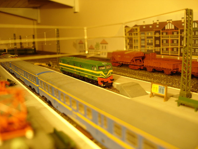 DSC02482.JPG
