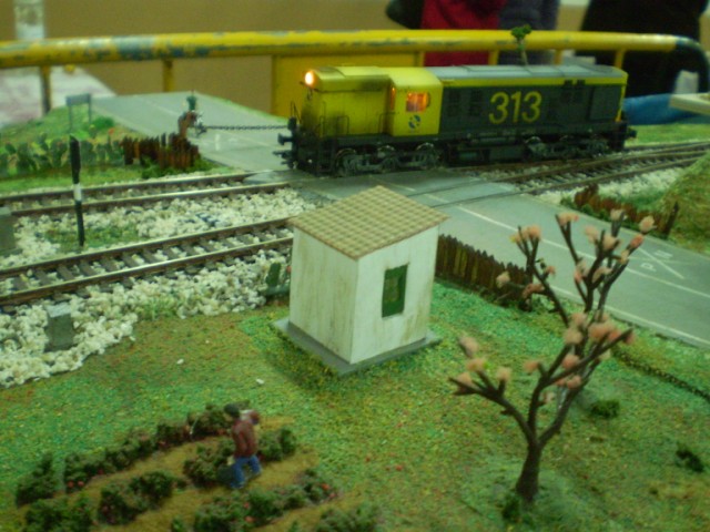 P1010460 [640x480].JPG