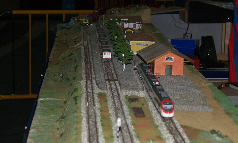 P1233114.JPG