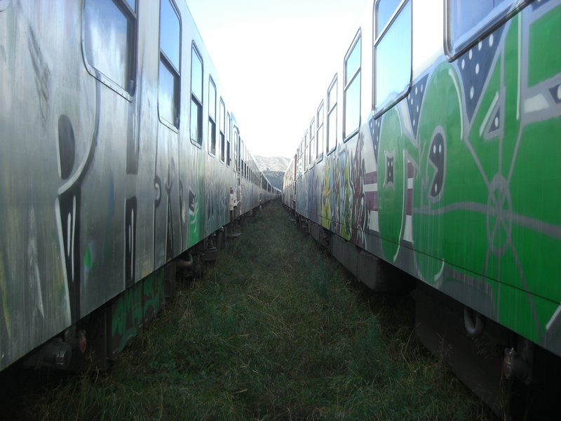 CIMG5423.JPG
