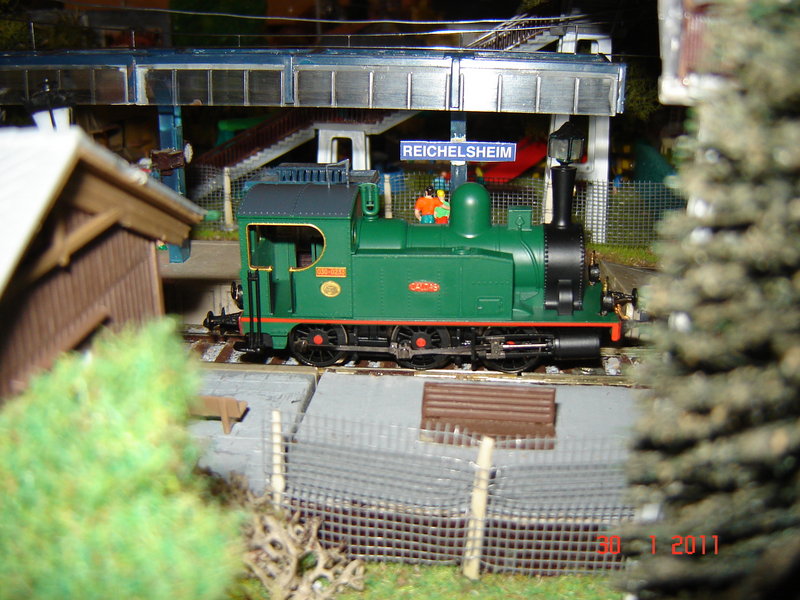 DSC07000.JPG