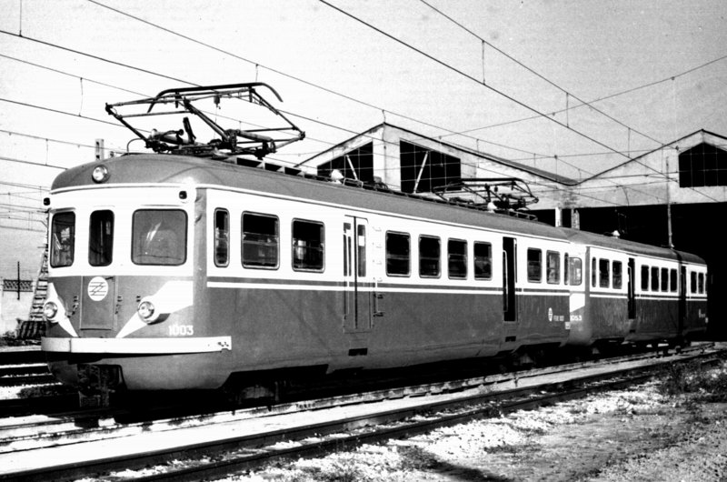 1003 en torrent.jpg