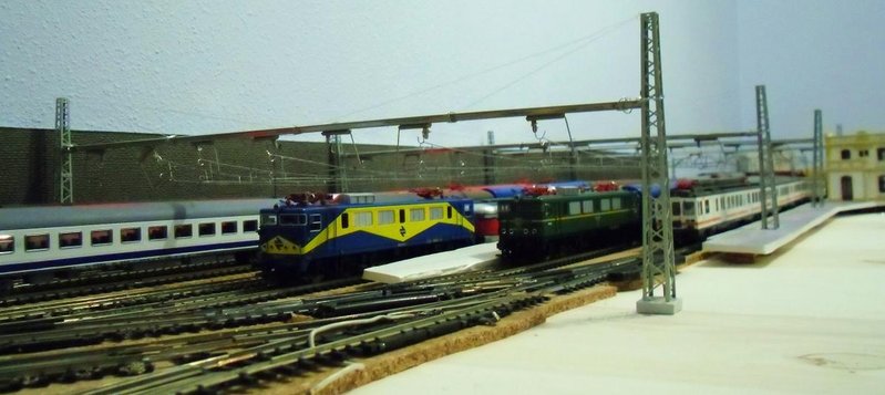 CIMG7780.JPG