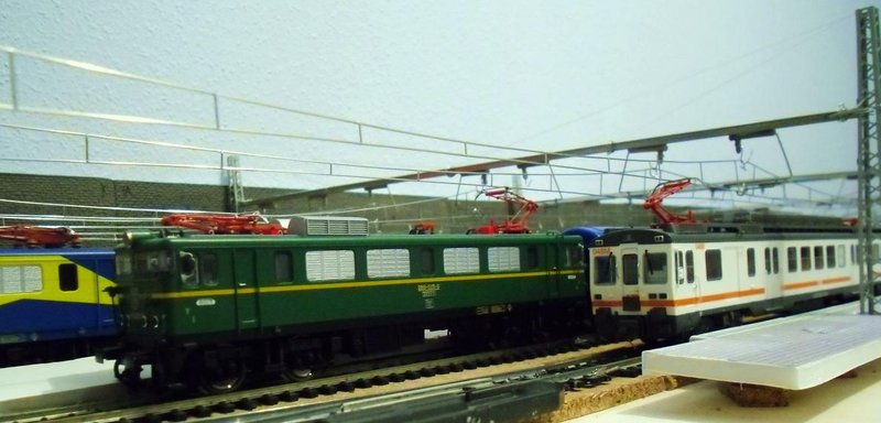 CIMG7783.JPG
