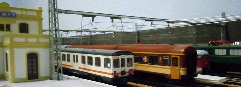 CIMG7785.JPG