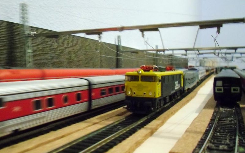 CIMG7796.JPG