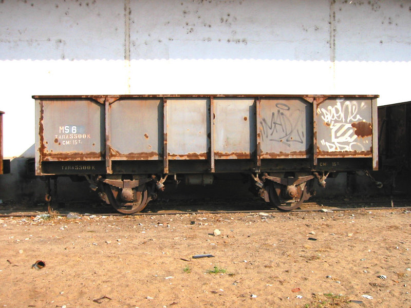 FGC BORDE MEDIO MS 6.jpg