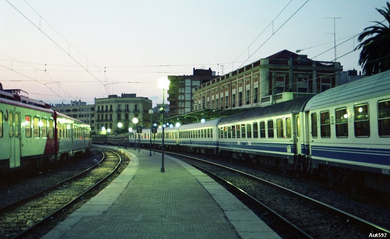 auttort961.jpg