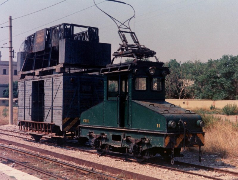 T11 EN GRAO 1.jpg