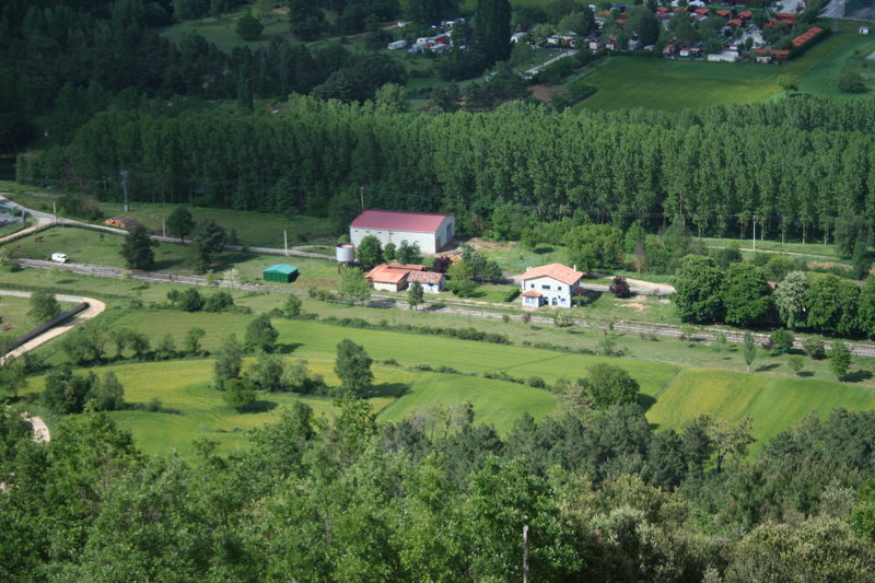 IMG_7795.JPG