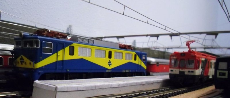 CIMG7836.JPG