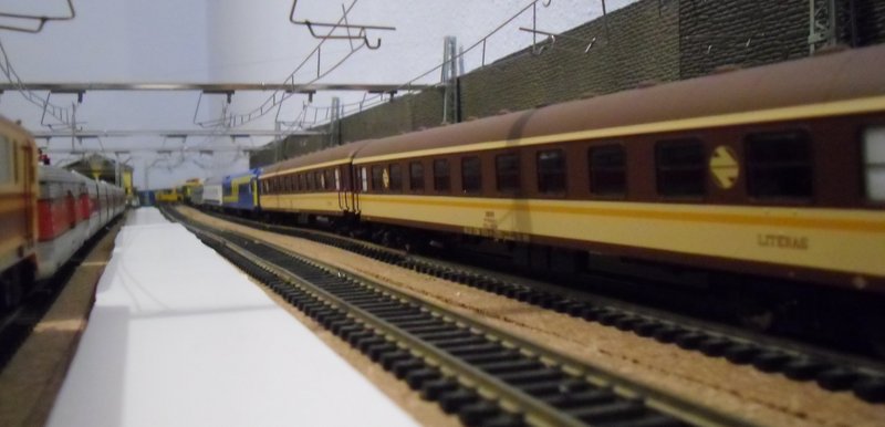 CIMG7840.JPG