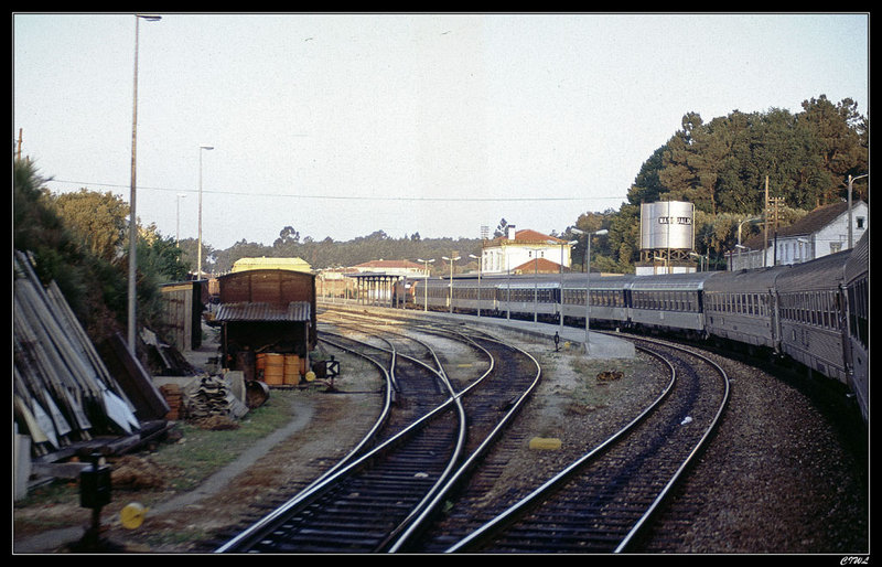 CIWL0139.jpg