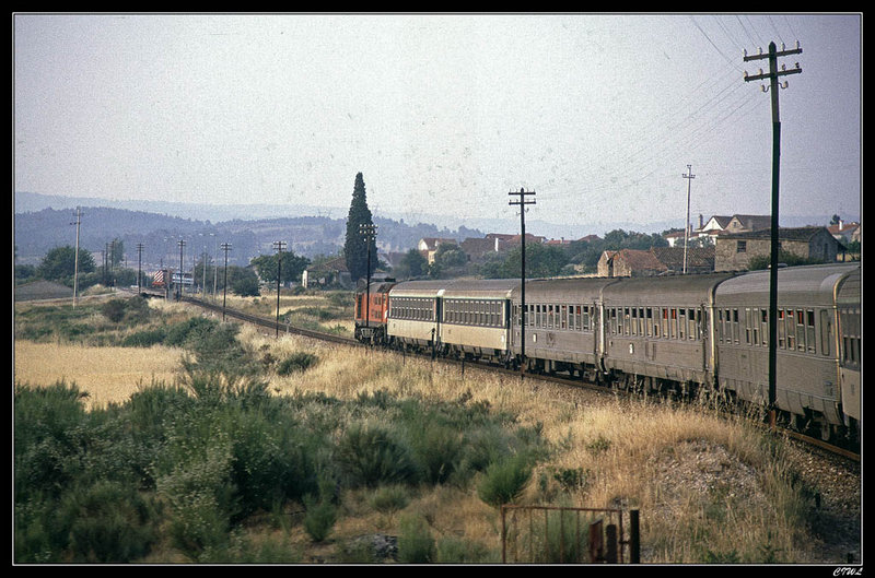 CIWL0137.jpg