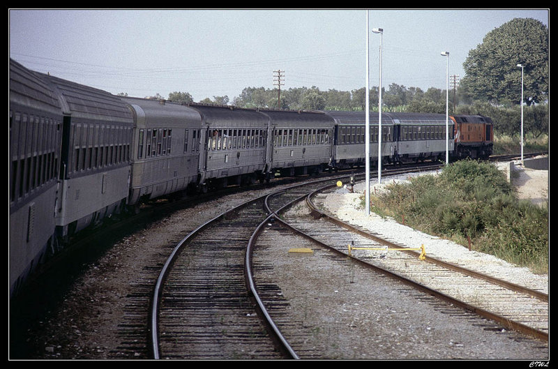 CIWL0136.jpg