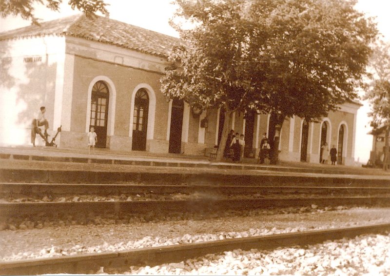 4743.jpg
