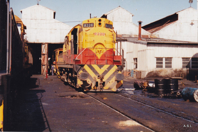 8226 Dader 1985.jpg