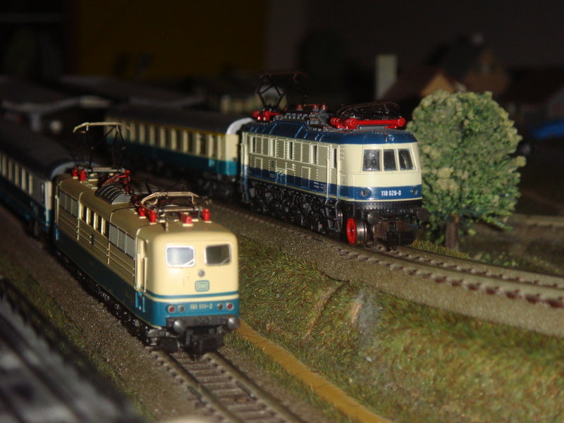 DSC09911.JPG