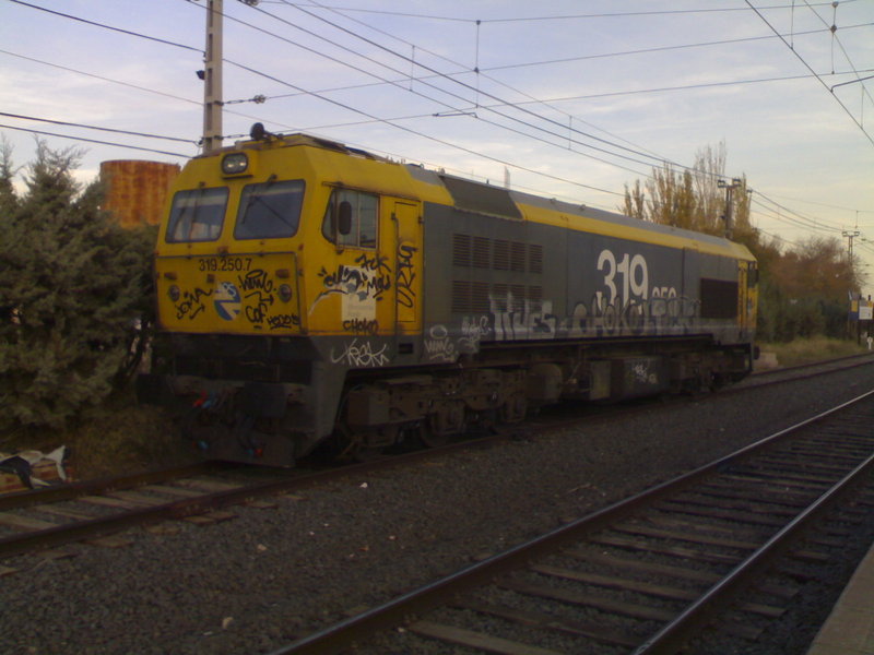 319.250.jpg