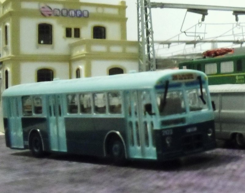 CIMG7941.JPG