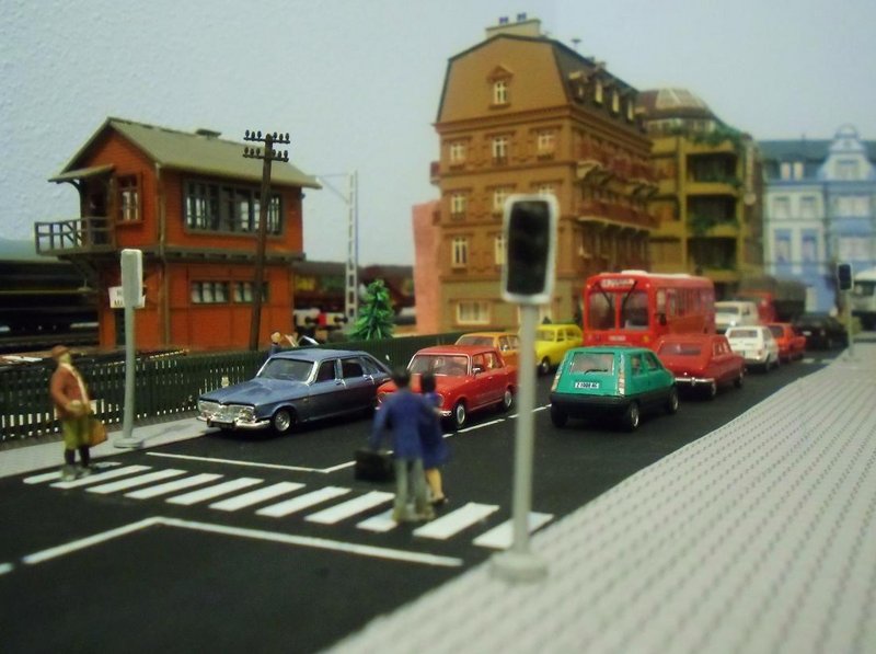 CIMG8003.JPG